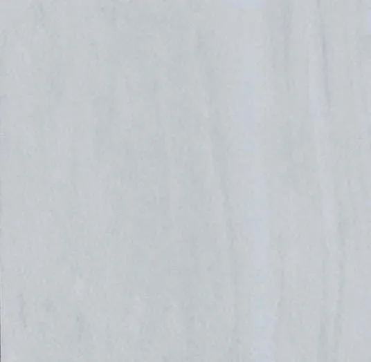 NPT-1027