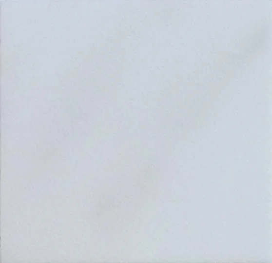 NPT-1010