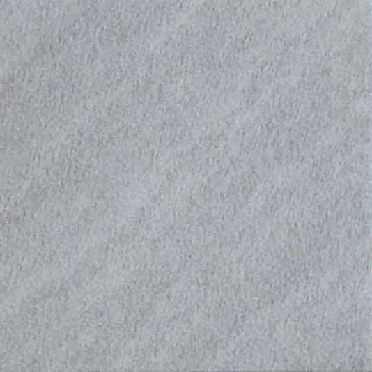 NPT-0611