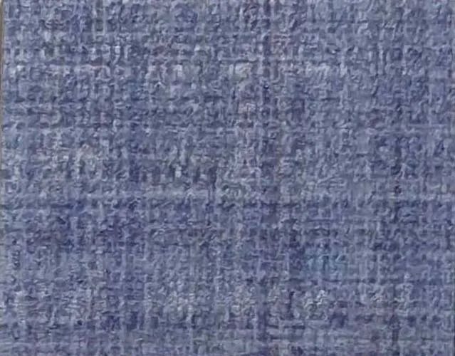 CF-31513-02-01